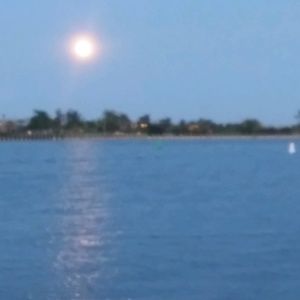 Meet your Posher, Chandra